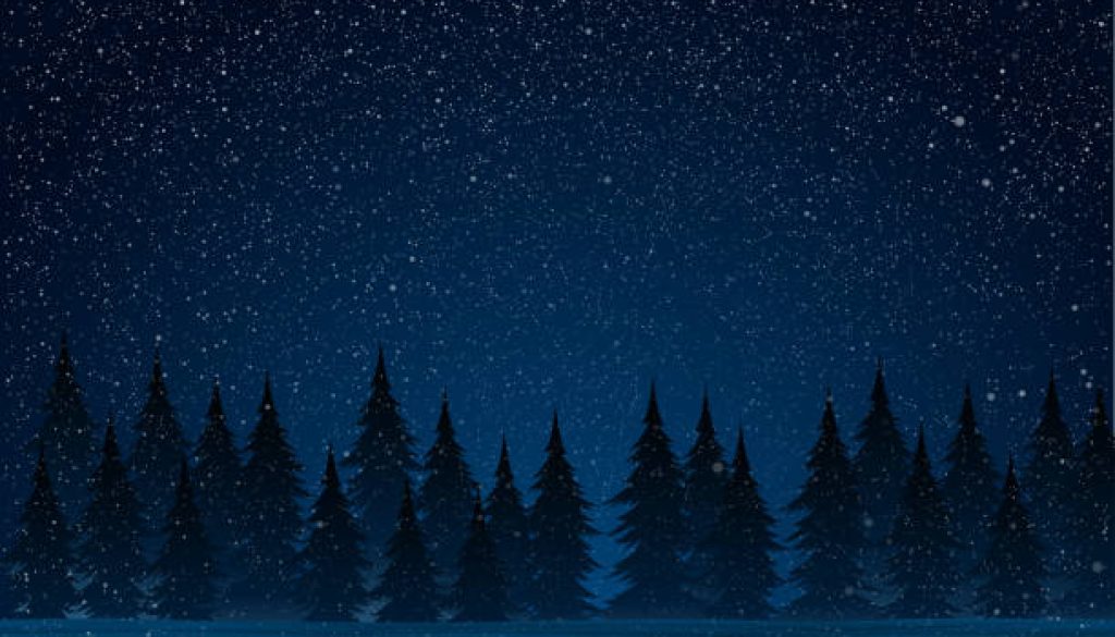 istockphoto-1190059388-612x612 (1)