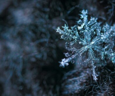 Winterizing Your Home’s Plumbing: A Smart Investment