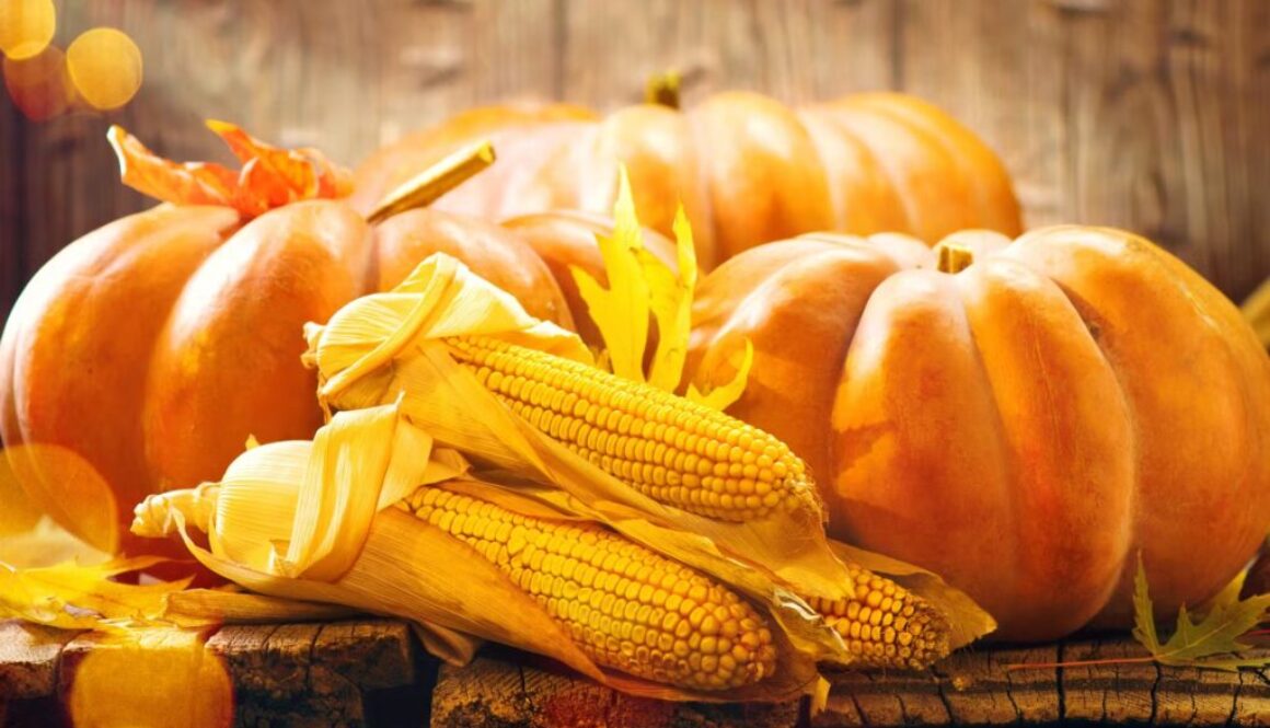 sunlit brown wooden backdrop and table featuring dried yellow cornhusks resting in front of three arranged orange pumpkins of various sizes, the sunlight highlights the pumpkins with the center being the brightest focal point.